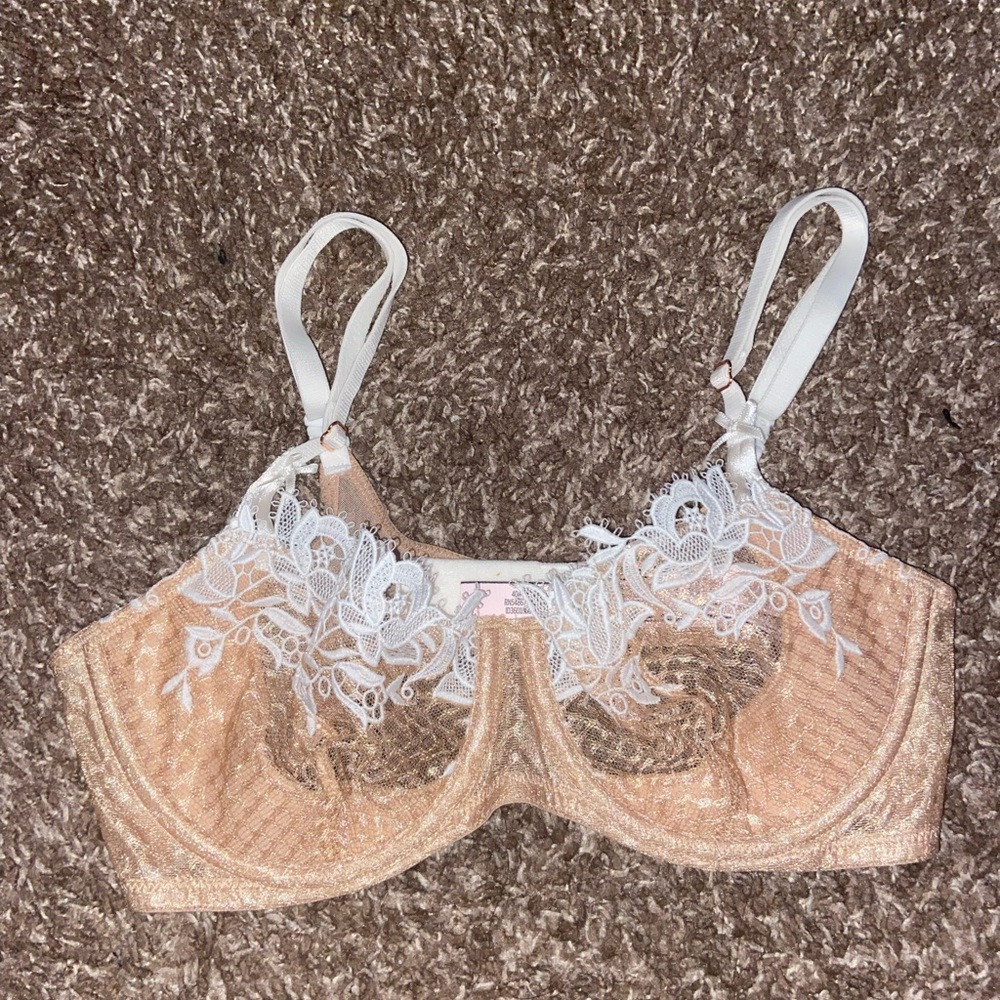 Victoria Secret Brawl